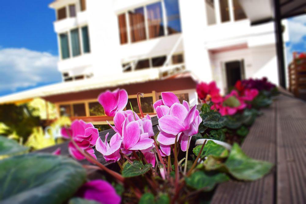 Royal Vila Hotel Tiranë Ngoại thất bức ảnh
